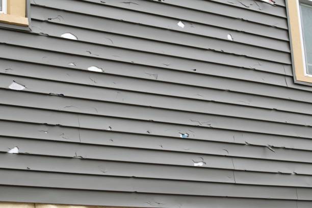 Best Vinyl Siding Installation  in Hewlett Harbor, NY